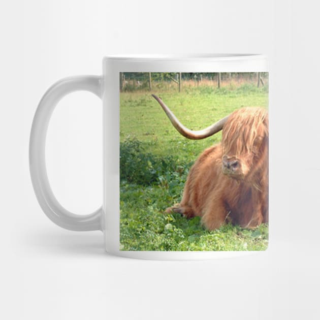 Heilan Coo by tomg